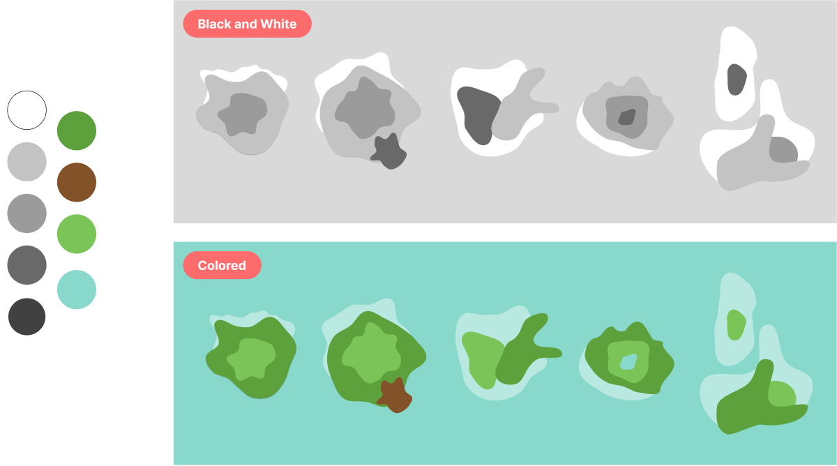 Image : Start from BW to Colored